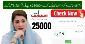 8171 Ehsaas Program 25000 Online Check 2026