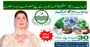 CM Maryam Nawaz Launches Punjab Rozgar Scheme