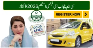 CM Punjab E-Taxi Scheme
