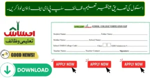 Download School Verification Benazir Taleemi Wazaif Slip PDF