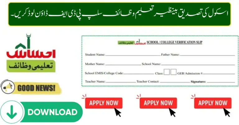 Download School Verification Benazir Taleemi Wazaif Slip PDF