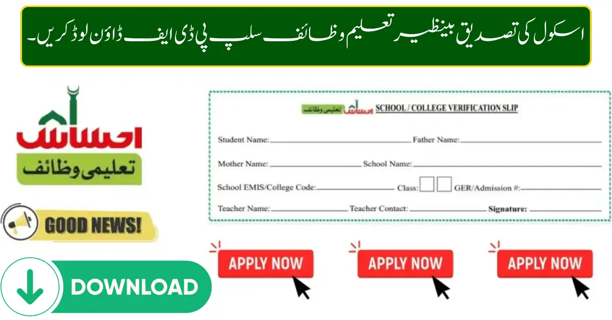 Download School Verification Benazir Taleemi Wazaif Slip PDF