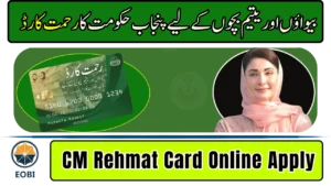 CM Punjab Rehmat Card Apply Online – Complete 2026 Registration Guide